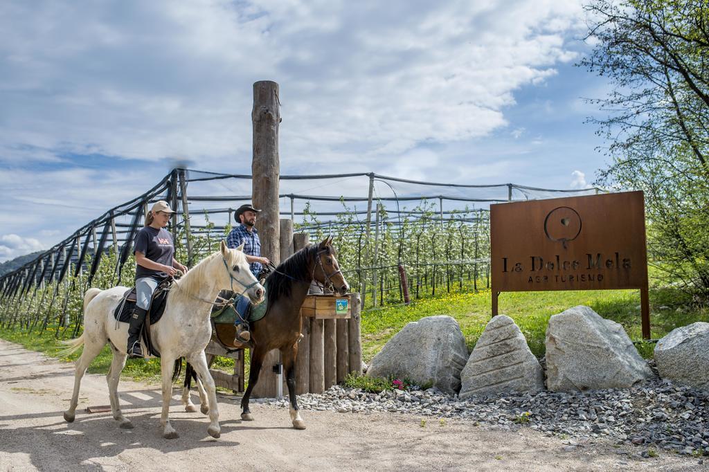 Villa Agritur La Dolce Mela Vezzano Esterno foto