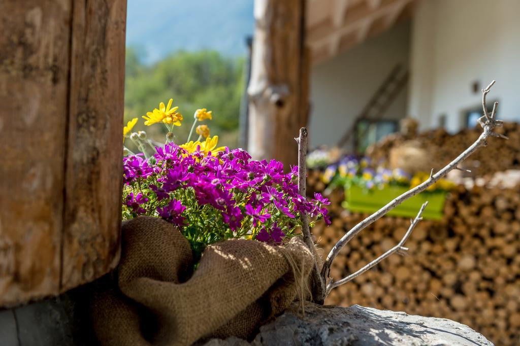 Villa Agritur La Dolce Mela Vezzano Esterno foto